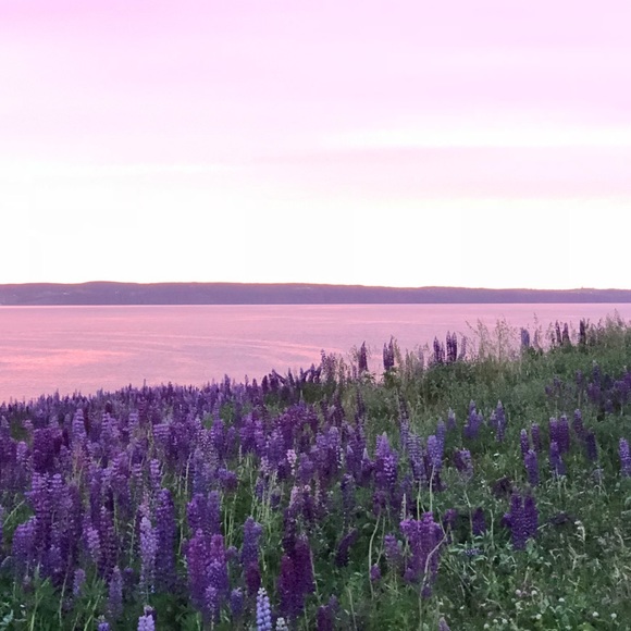 Meet your Posher, Kristy - Picture 3 of 3